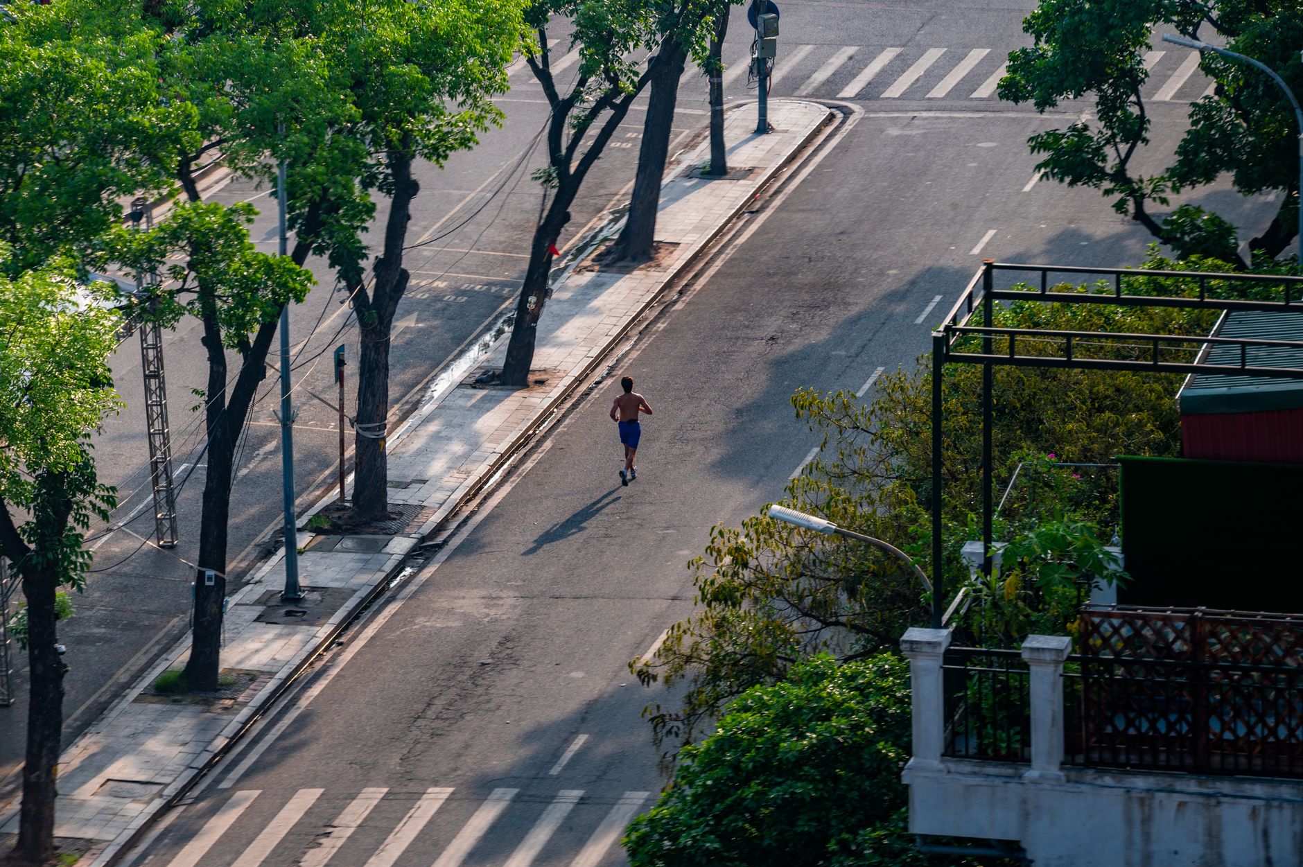 A lone runner on a tree-lined city street in daylight.
